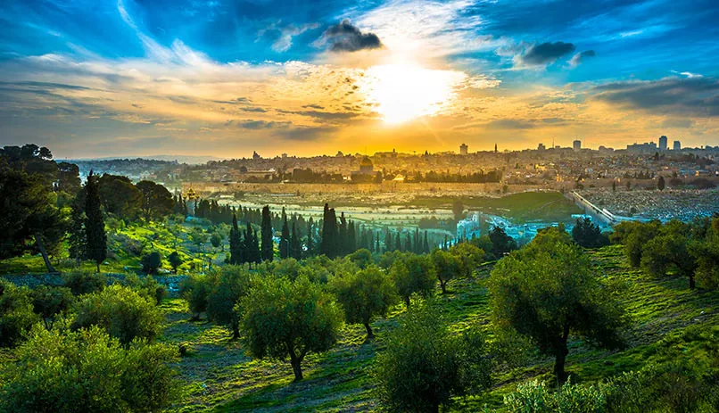 The Holy City